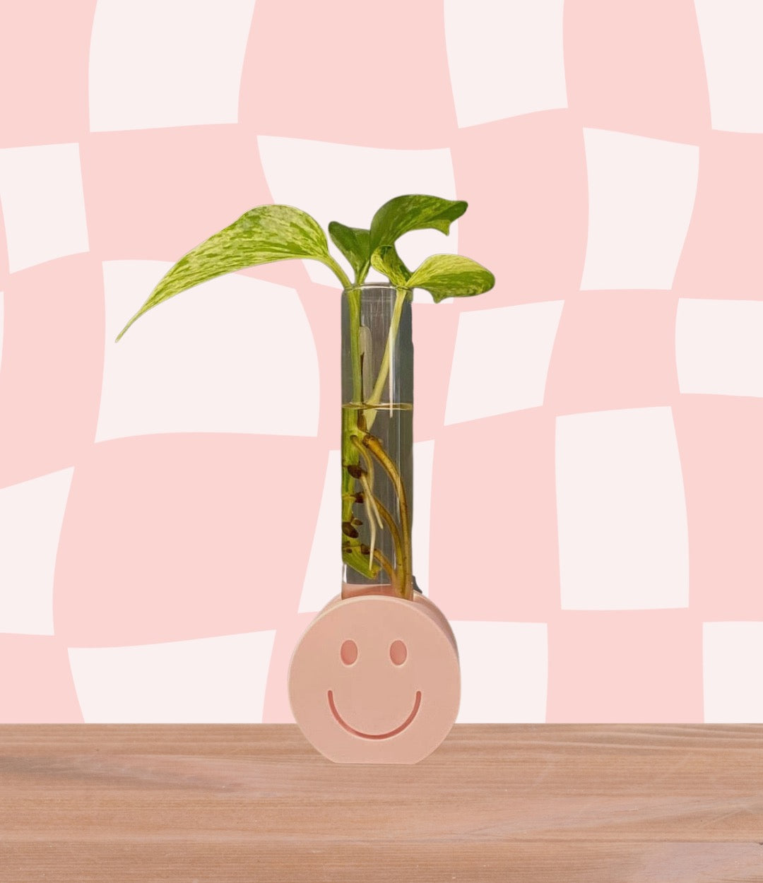 Smiley Plant Propagation Stand